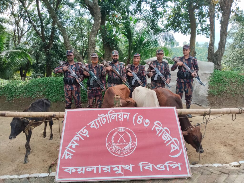 চোরাইপথে আনা ৪ ভারতীয় গরু আটক করল বিজিবি’র রামগড় ব্যাটালিয়ন