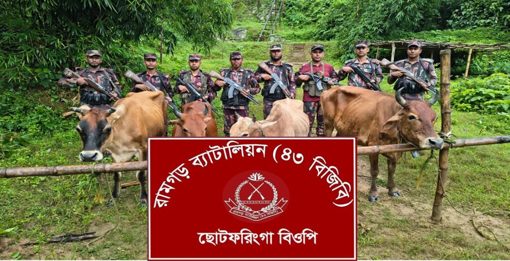ফটিকছড়ি সীমান্তে ৭ ভারতীয় গরু জব্দ করল রামগড় ৪৩ বিজিবি